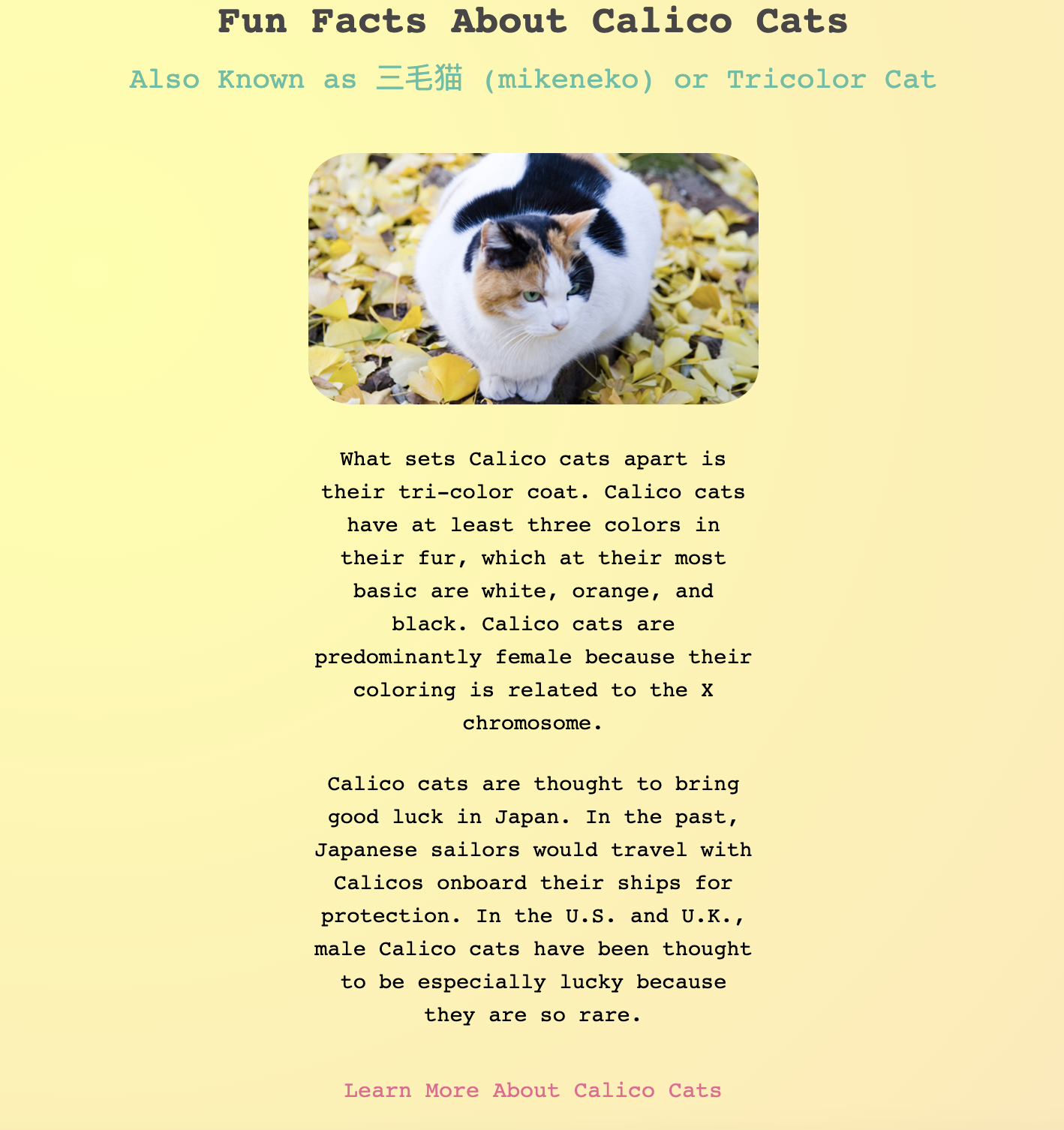 Calico Cat Landing Page Project