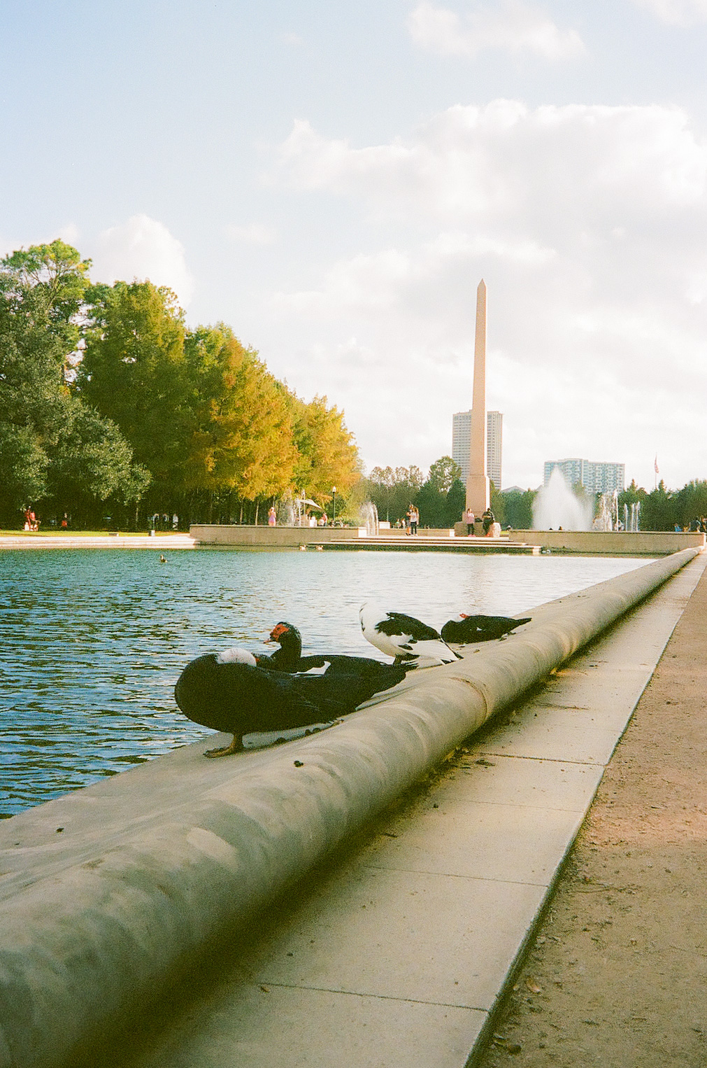 Houston Hermann Park Film Photograph